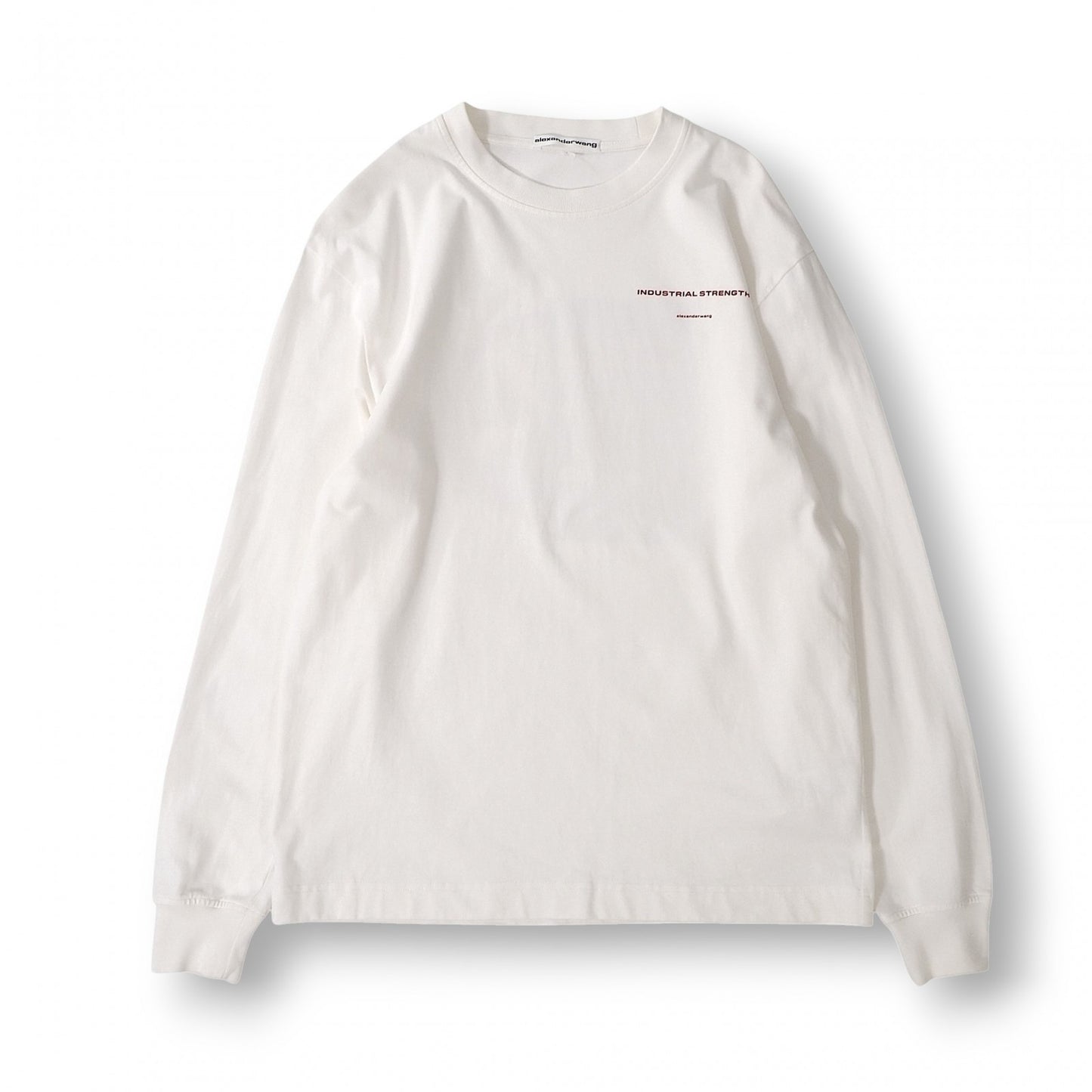 アレキサンダーワン alexanderwang プリント ロングスリーブ Tシャツ ロンT XS 大きめ メンズ 正規品 6-ZD002